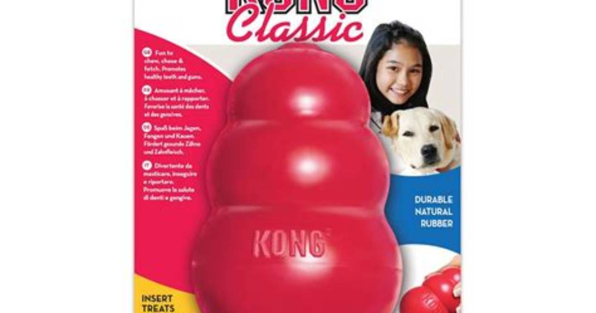 Are Kongs Good for Teeth?