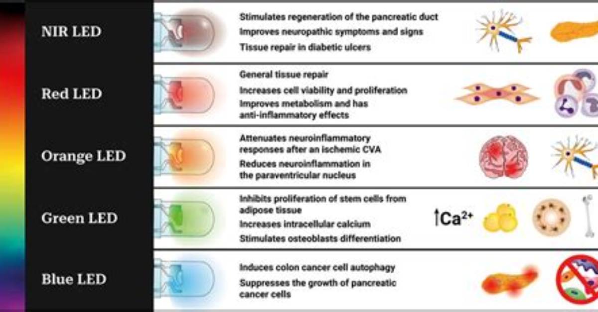 Are Led Bulbs Toxic