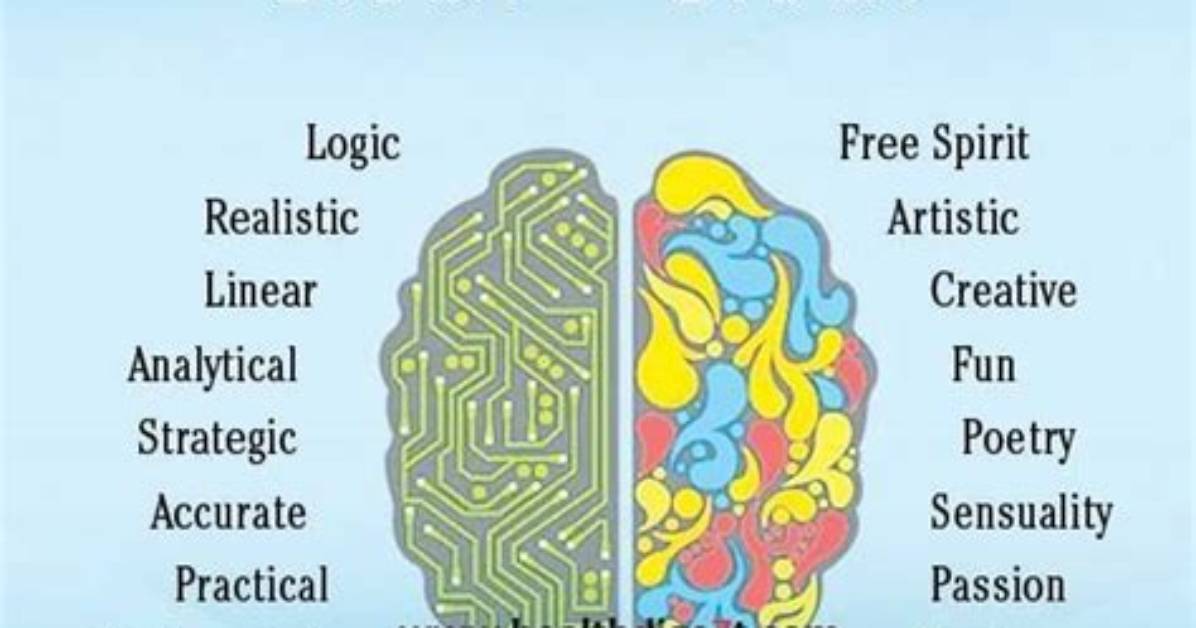 Are Lefties Right Brained?