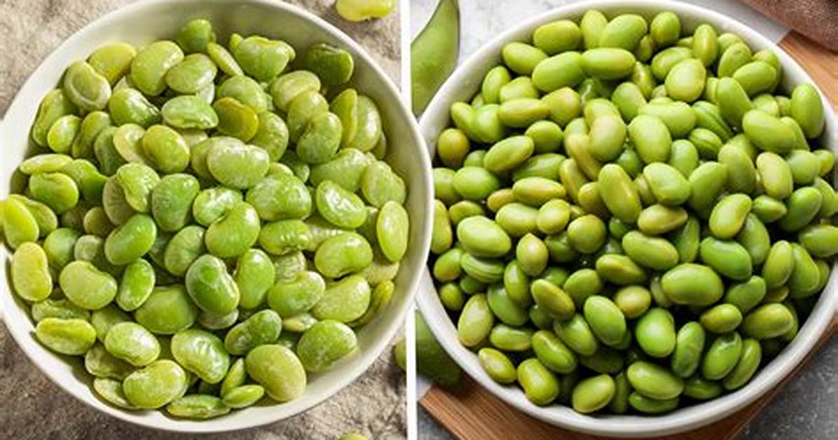 Are Lima Beans the Same as Soy Beans
