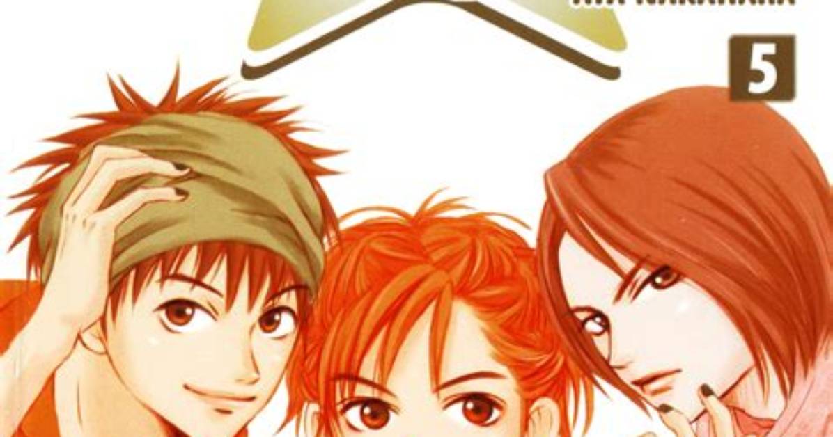 Are Lovely Complex Manga?