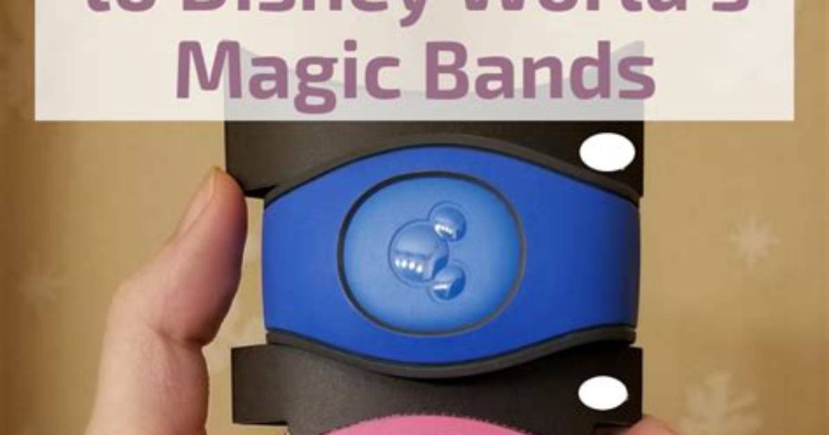 Are Magic Bands Going Away?
