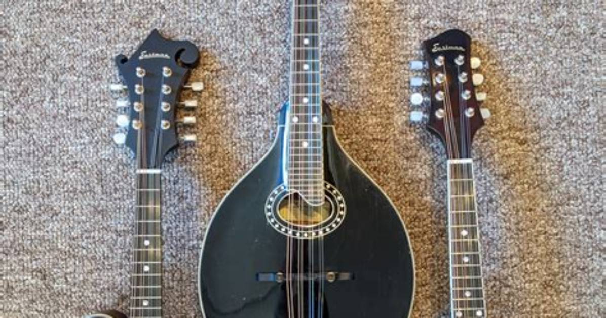 Are Mandolins Worth It?