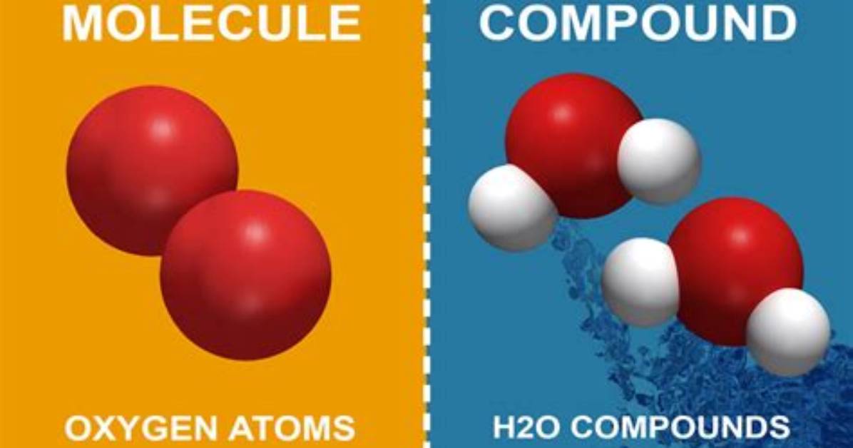 Are Molecules a Compound