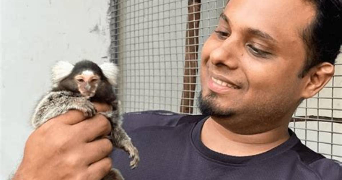 Are Monkeys Good Pets?