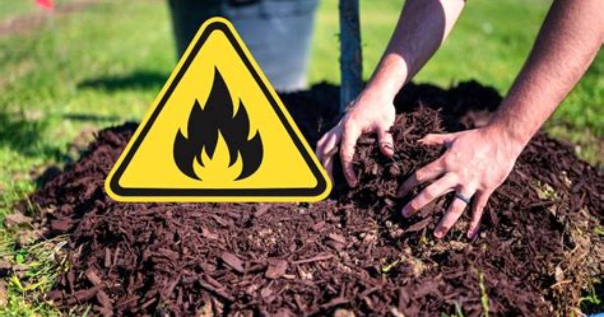 Are Mulch Fires Common
