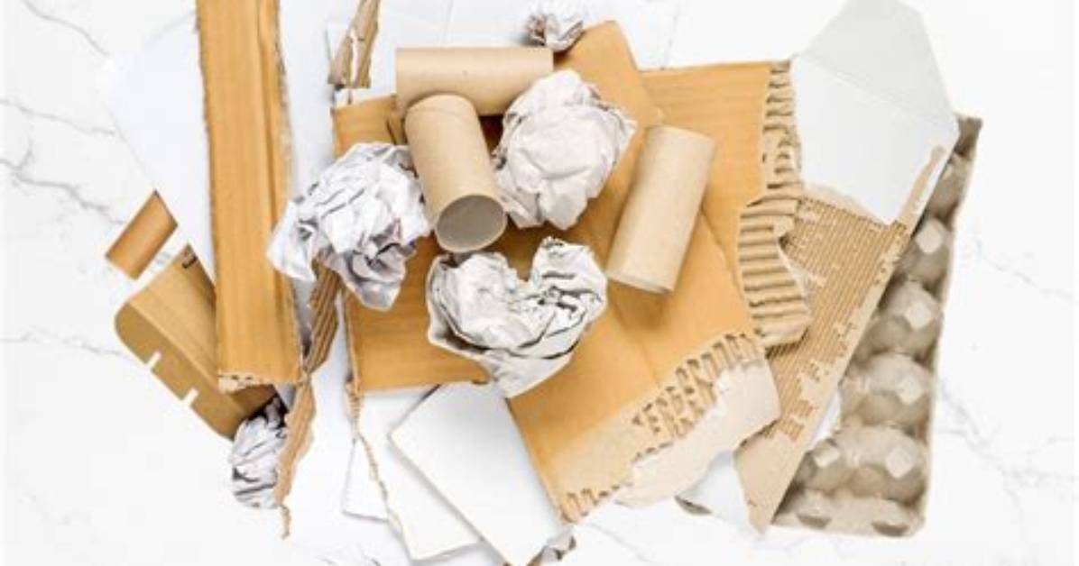 Are Paper Biodegradable Waste?