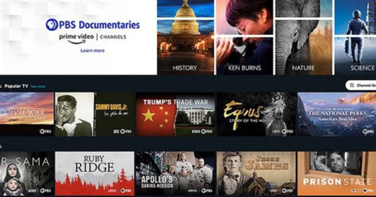 Are Pbs Documentaries Free?