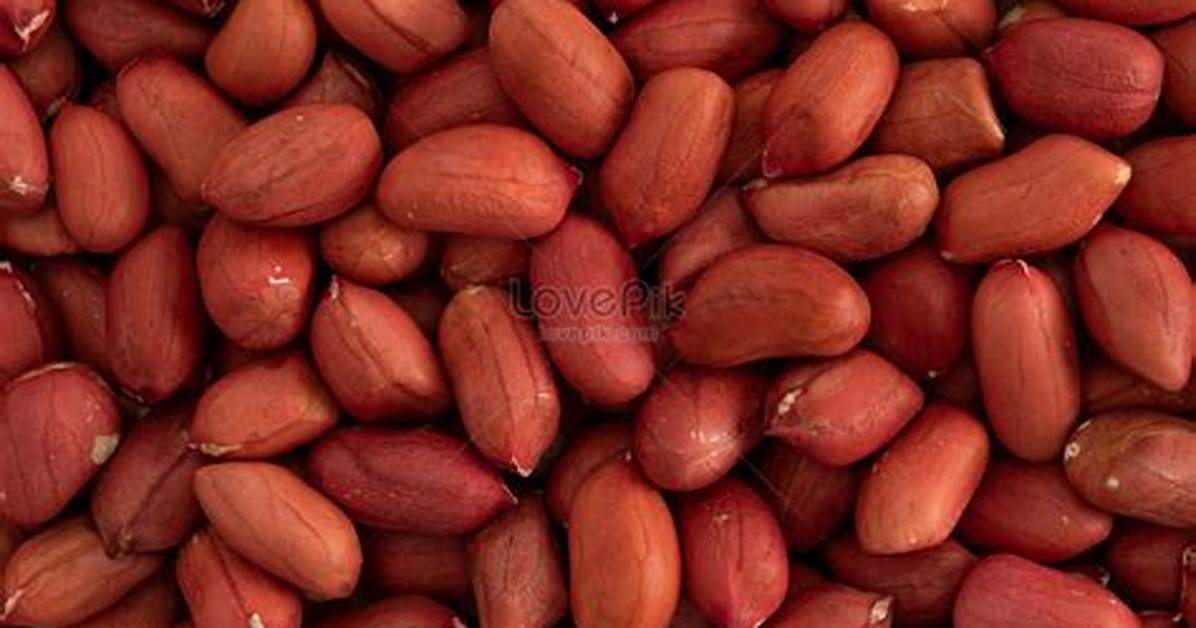 Are Peanuts a Grain? | Contextresponse. Com