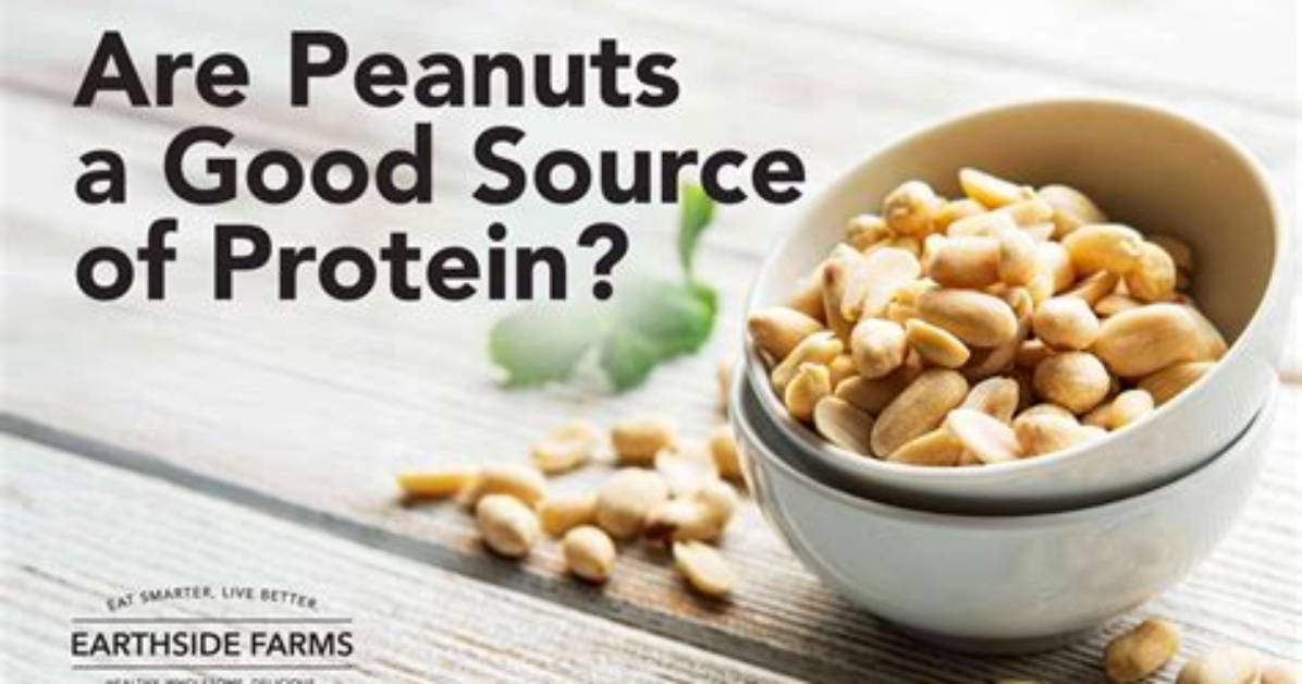 Are Peanuts Good Protein Source?