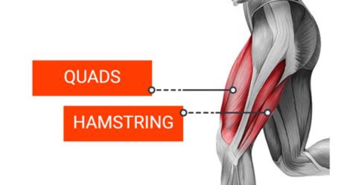 Are Quadriceps Stronger Than Hamstrings
