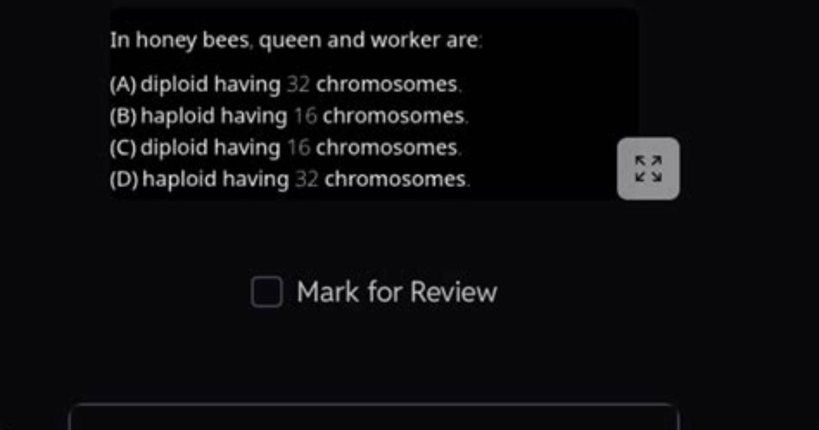 Are Queen Bees Diploid