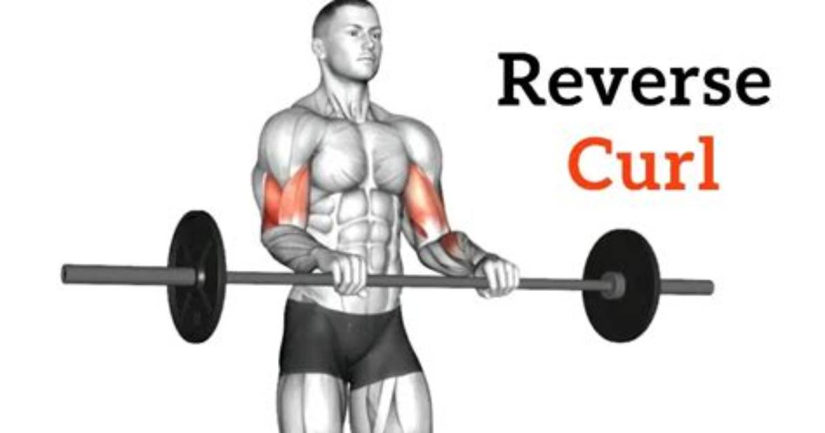 Are Reverse Curls Good?