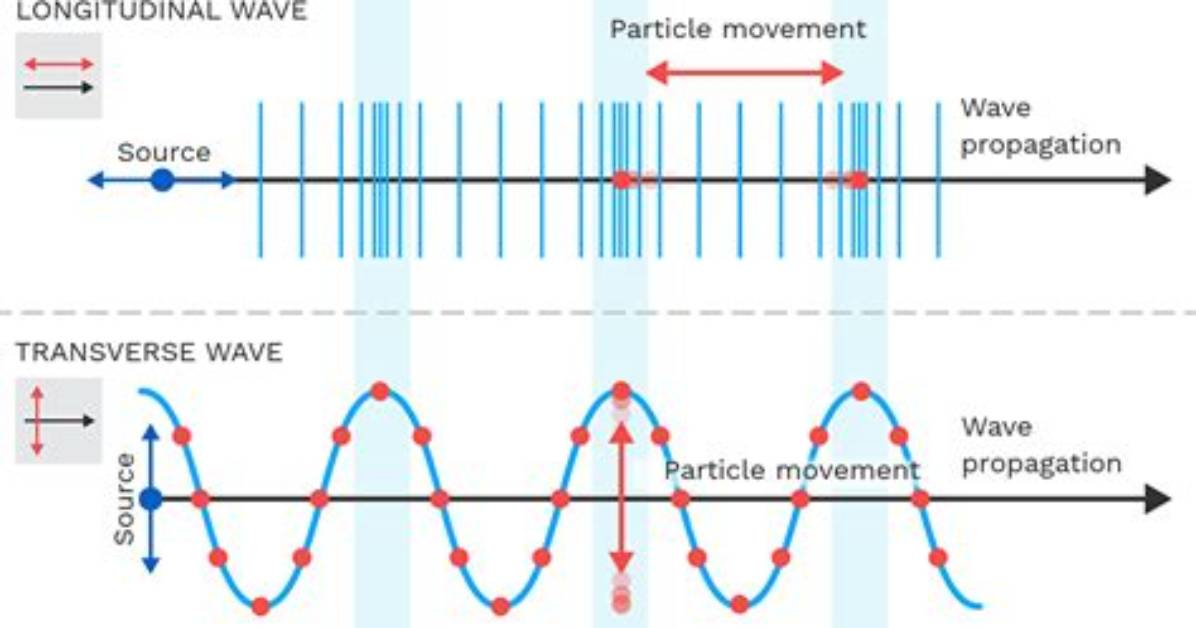 Are Ripples Transverse or Longitudinal?