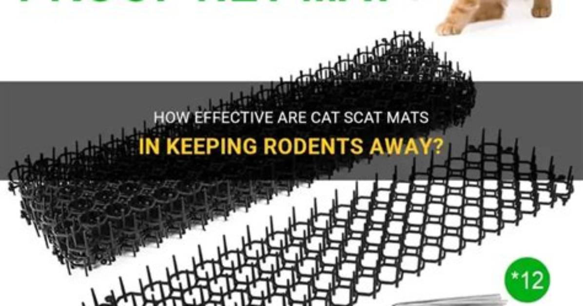 Are Scat Mats Effective