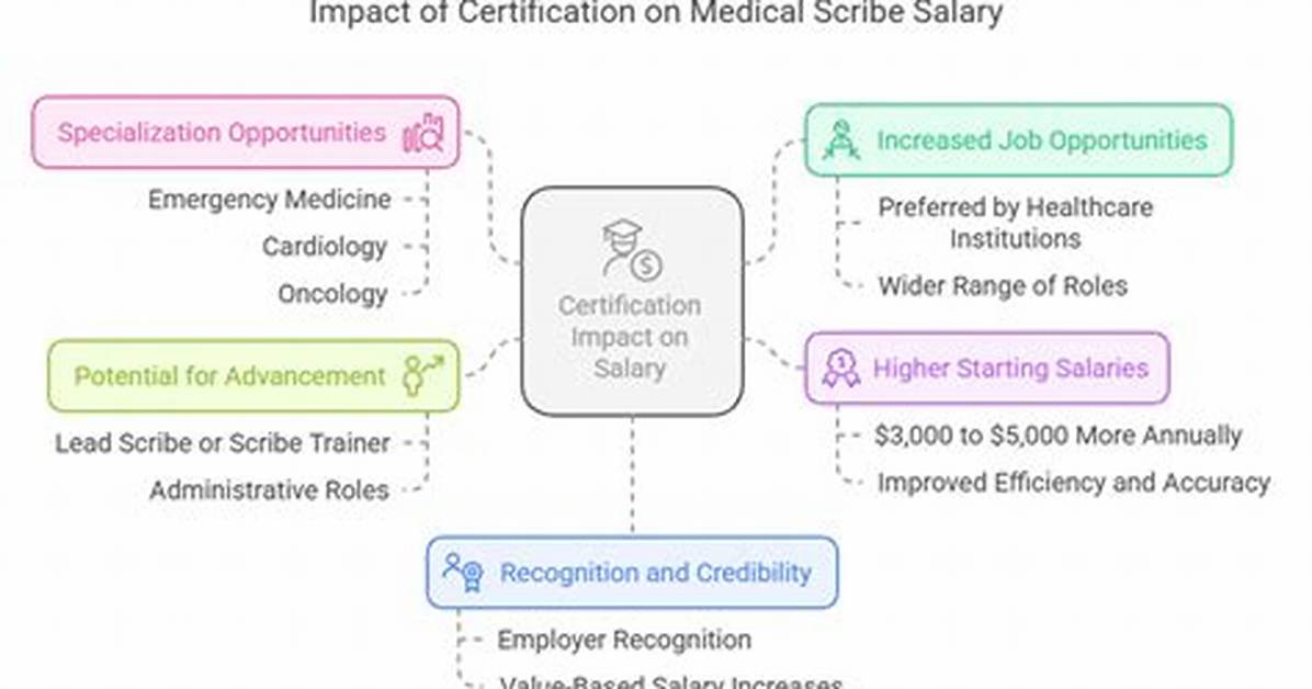 Are Scribes Certified