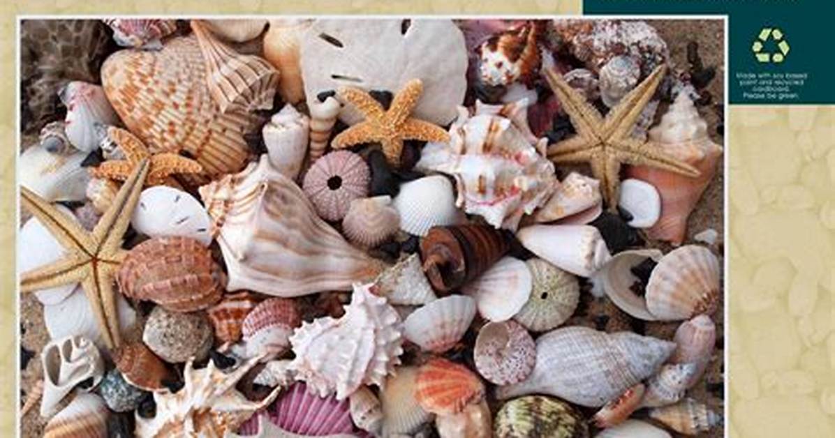 Are Shells Like Teeth