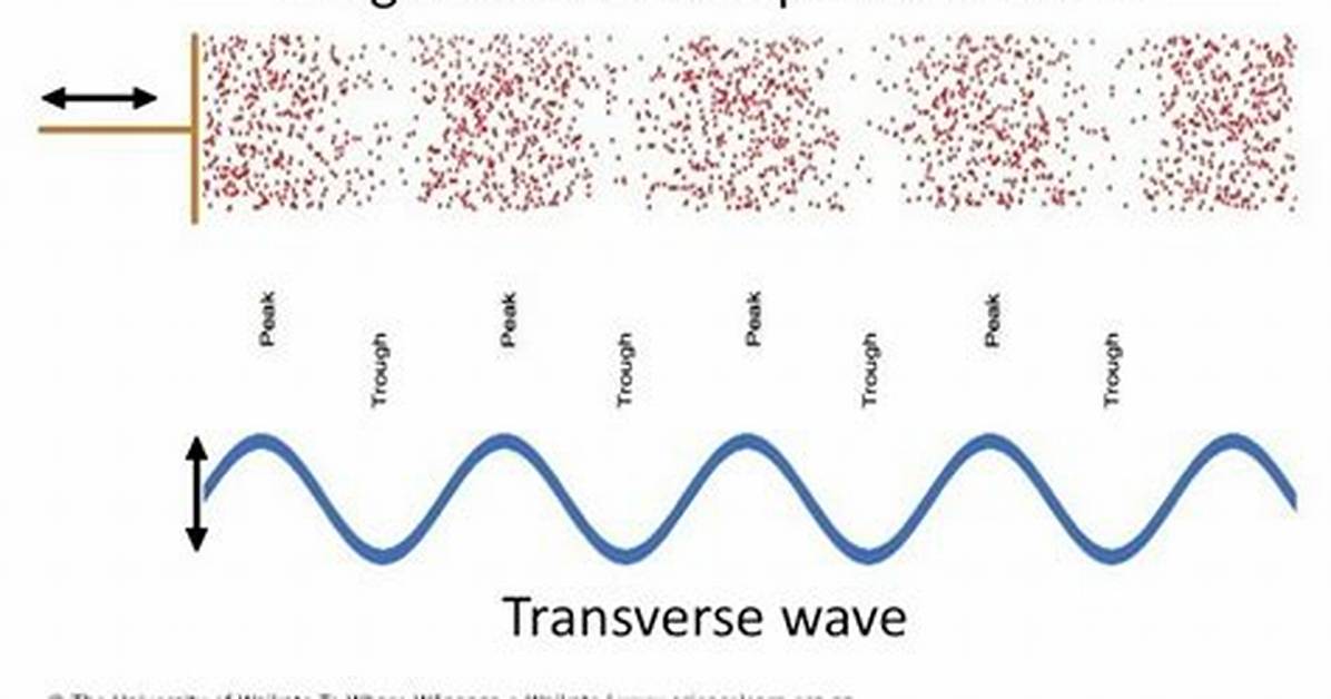 Are Sound Waves Transverse?