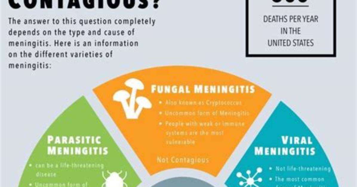 Are Spinal Meningitis Contagious?