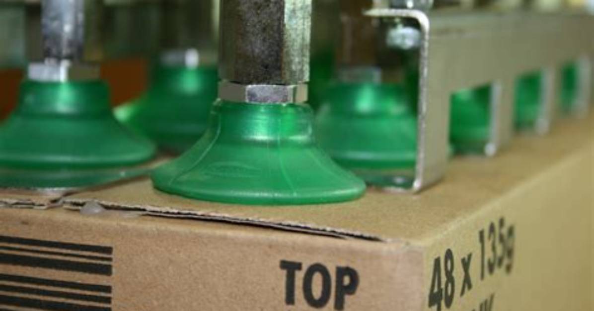 Are Suction Cups Dangerous?