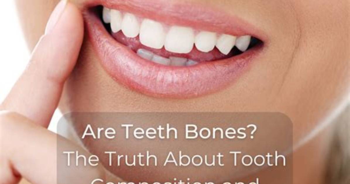 Are Teeth Bones? Why Are Teeth Not Considered Bones?