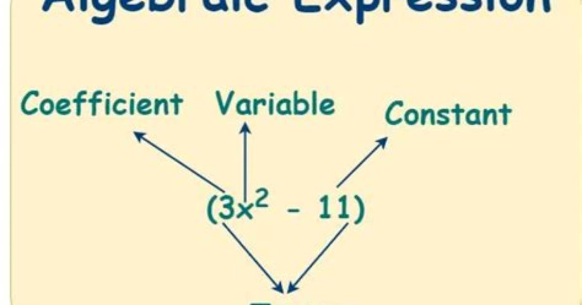 Are Terms Algebraic Expression?