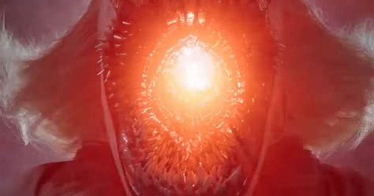 Are the Deadlights Its True Form?