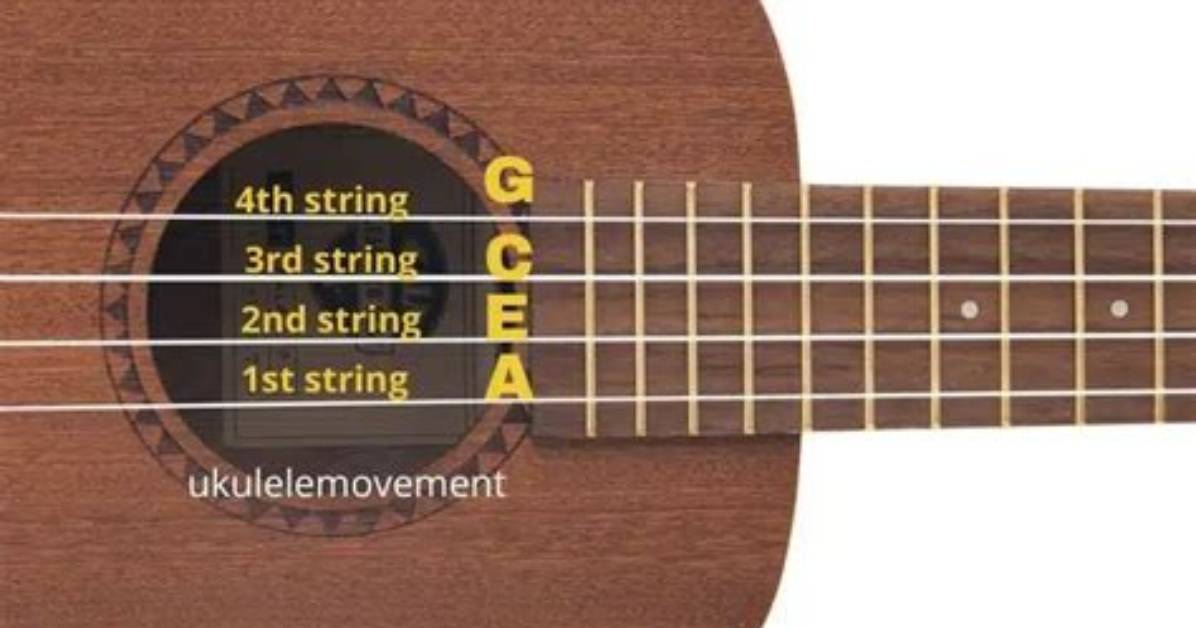 Are the Ukulele Strings?