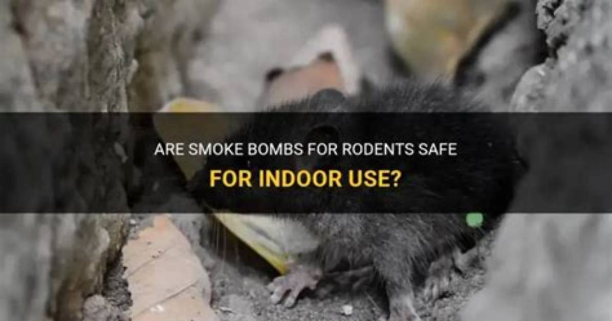 Are There Bombs for Mice?