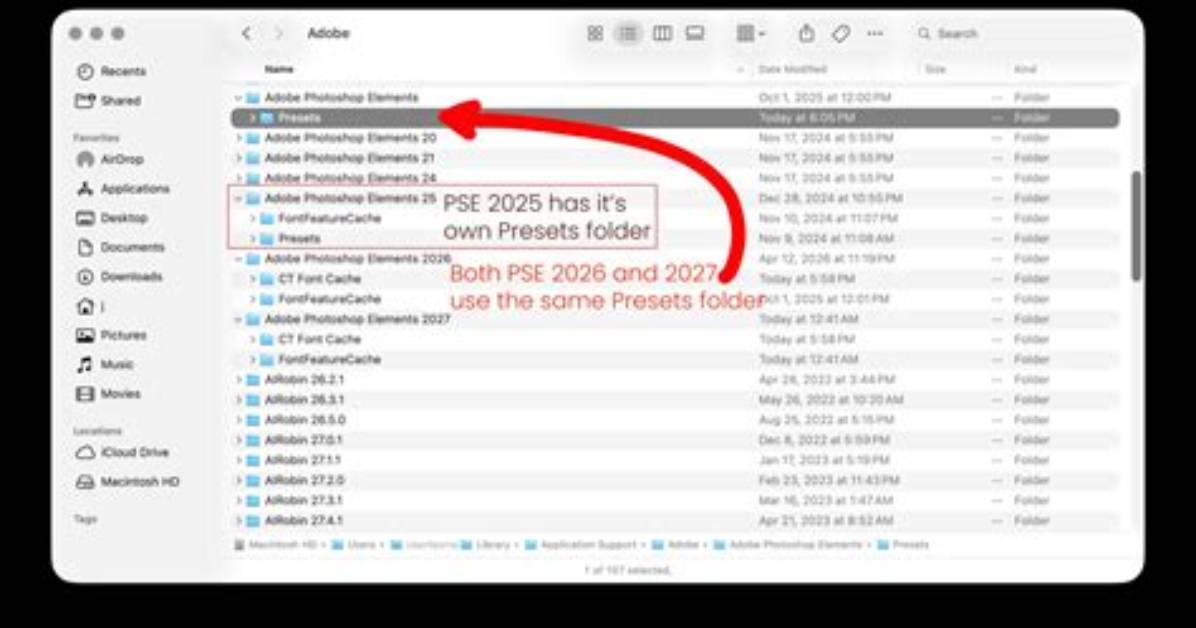 Are There Presets for Photoshop Elements?