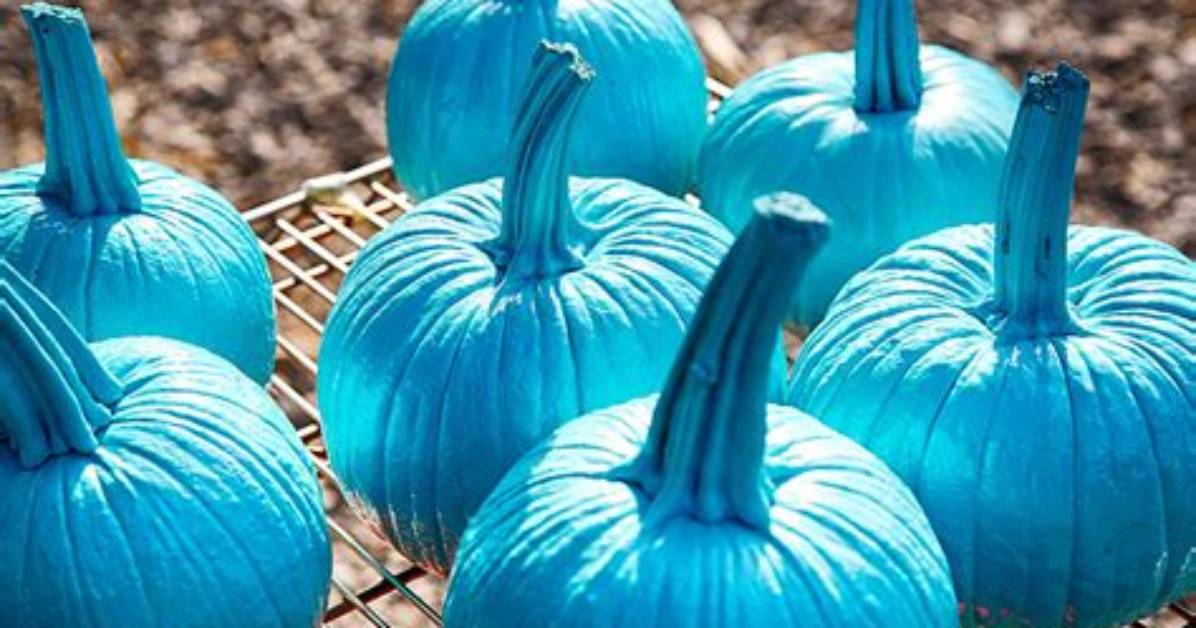 Are There Real Blue Pumpkins