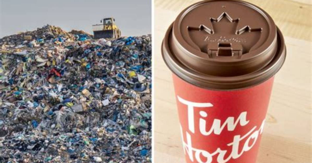 Are Tim Hortons Cups Recyclable?