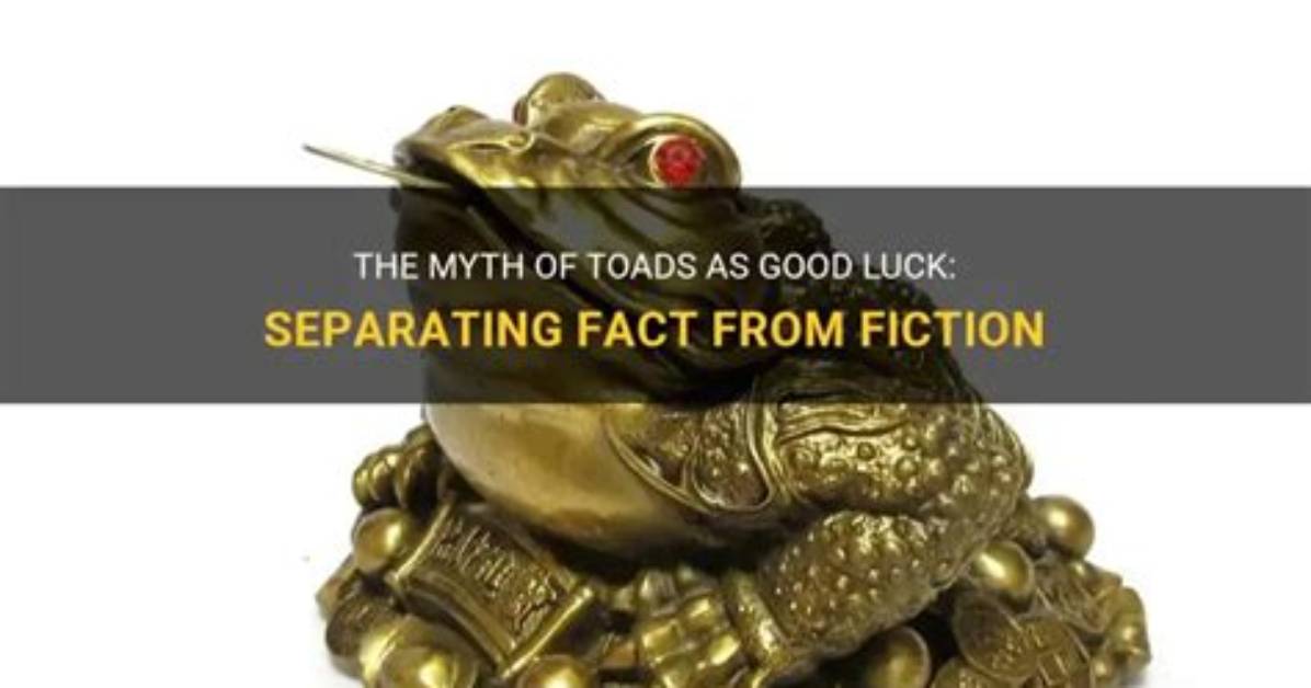 Are Toads Good Luck