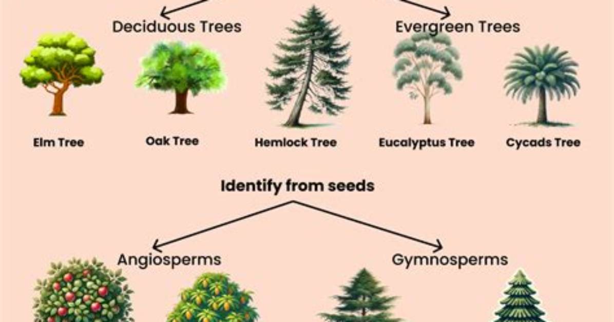 Are Trees Emblements