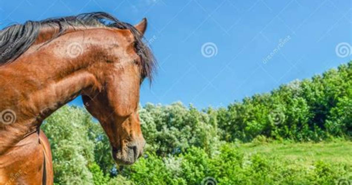 Are Turned on Its Head?