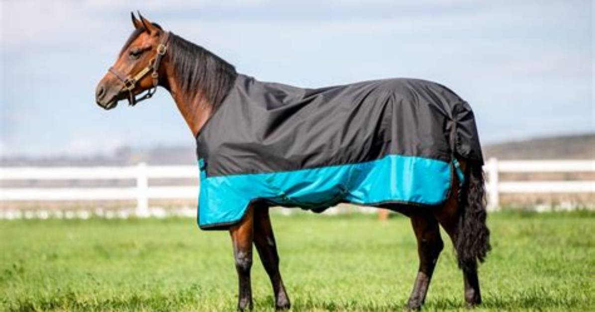Are Turnout Blankets Waterproof?