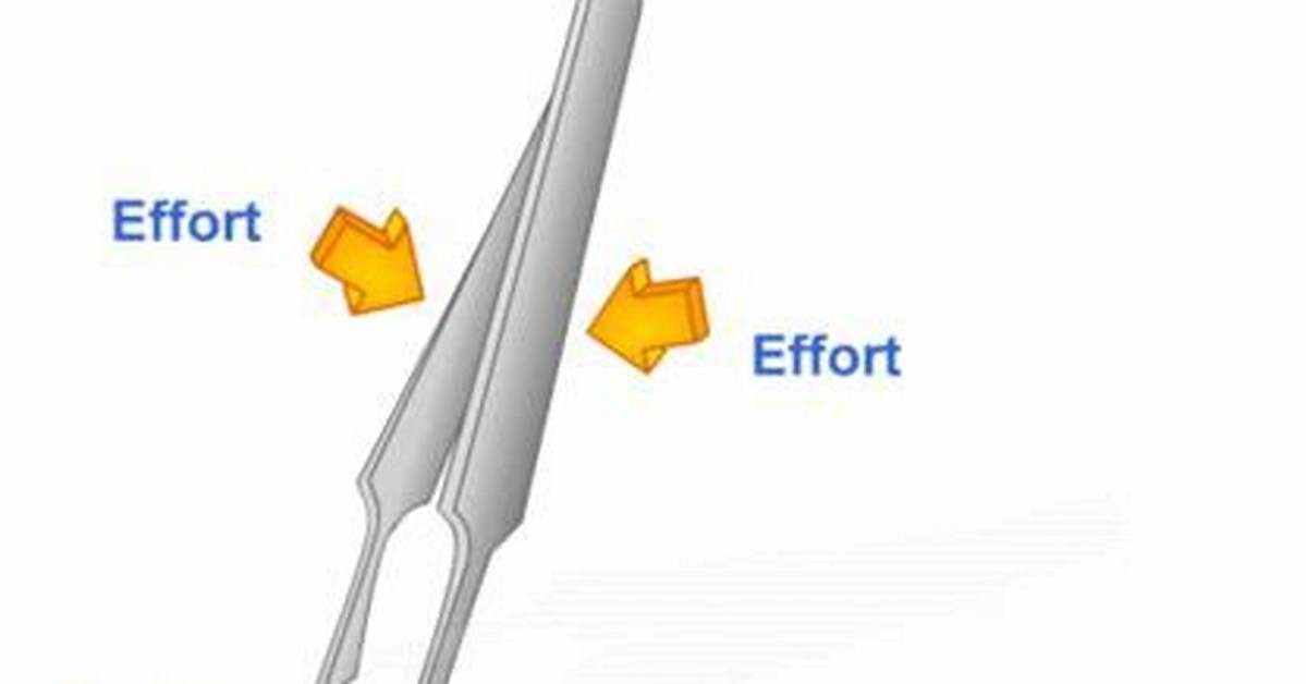 Are Tweezers a Third Class Lever?