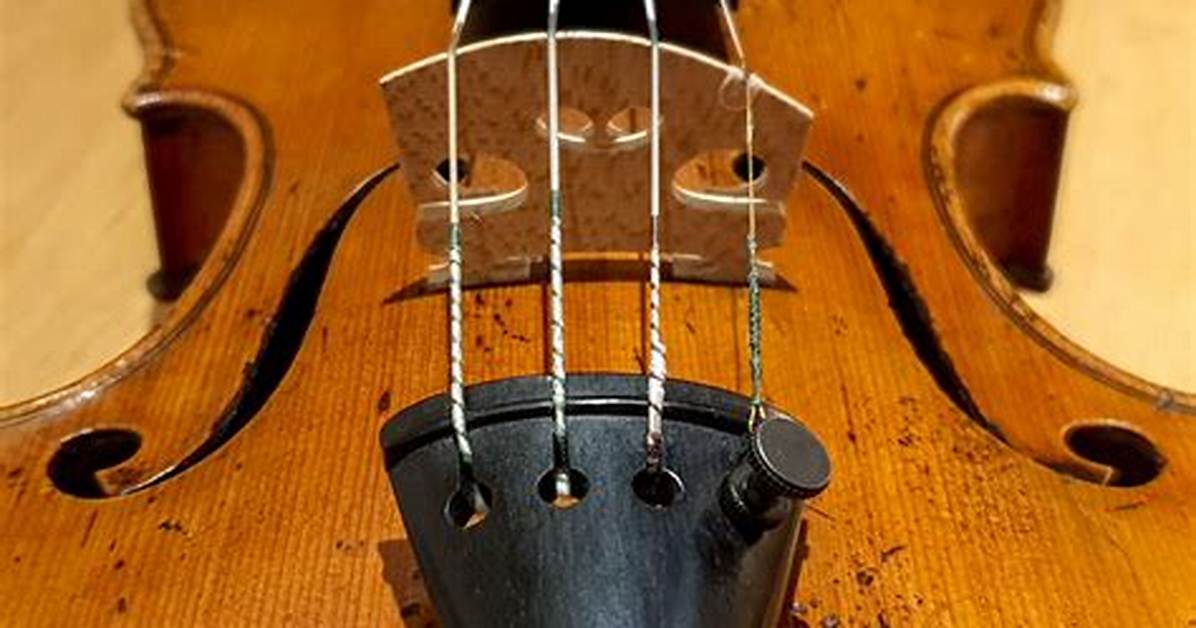 Are Violin Strings Gut?