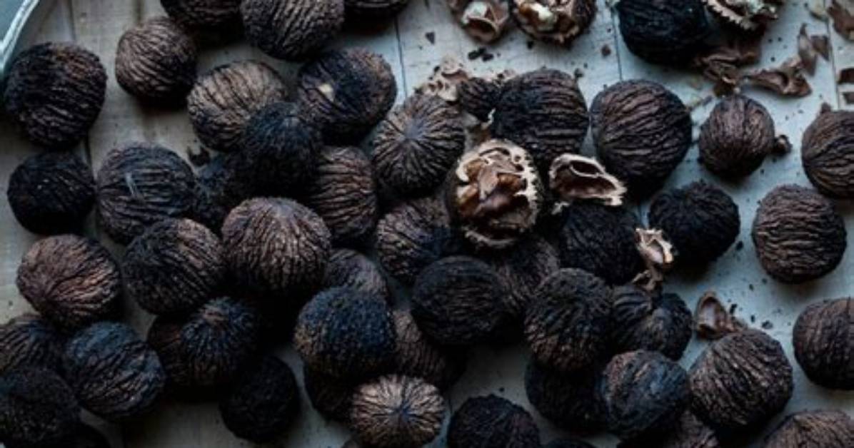 Are Walnut Shells Toxic