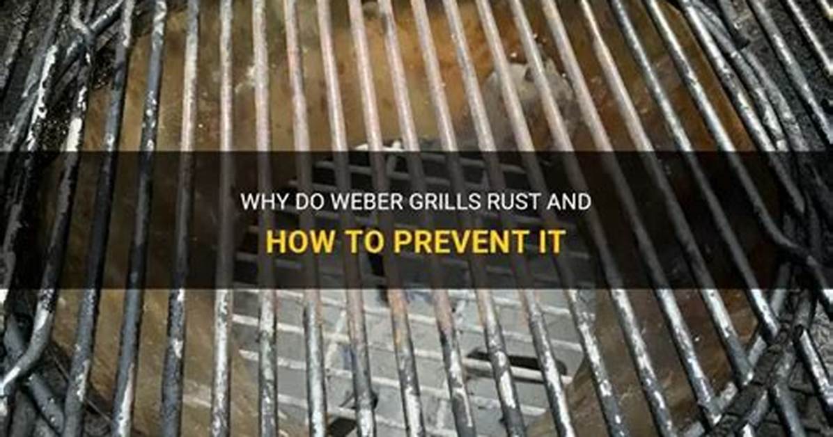 Are Weber Grills Rust Proof