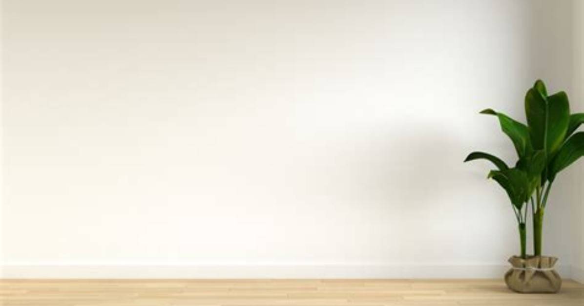 Are White Walls in Style 2021?