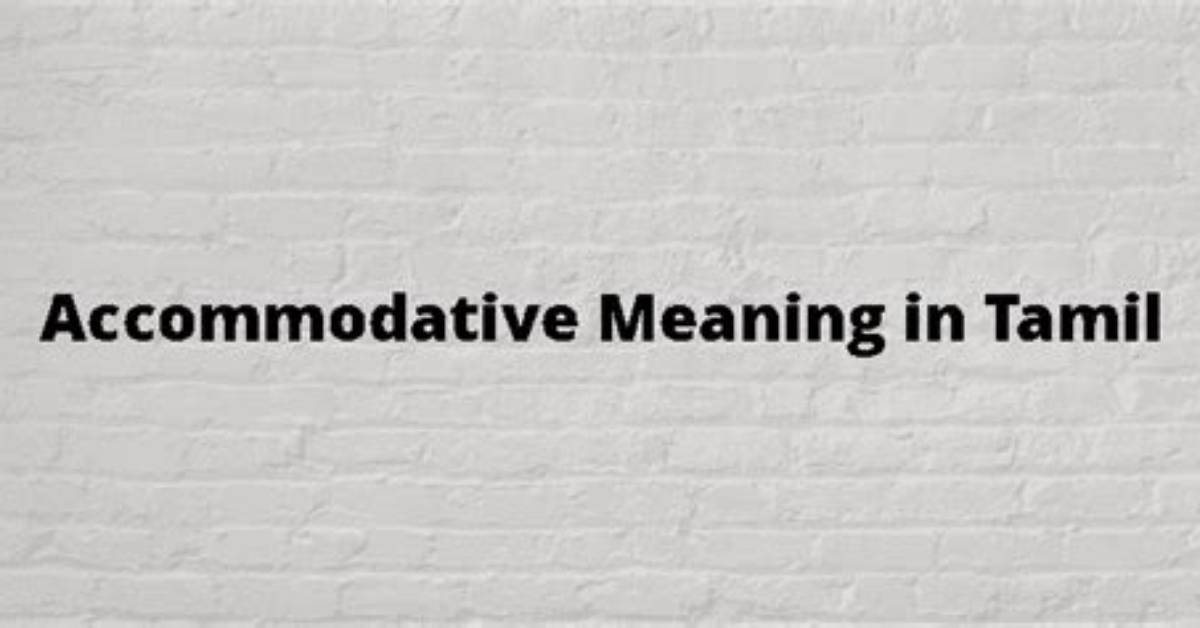 Are You Accommodative Meaning?