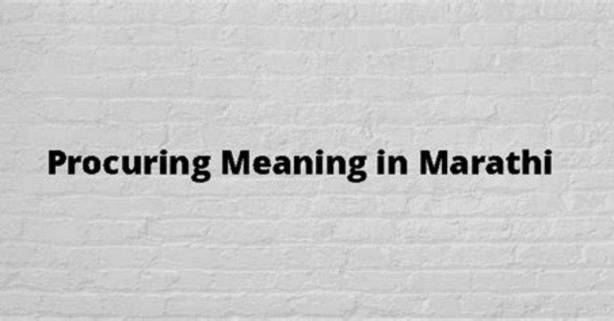 Are You Procuring Meaning?