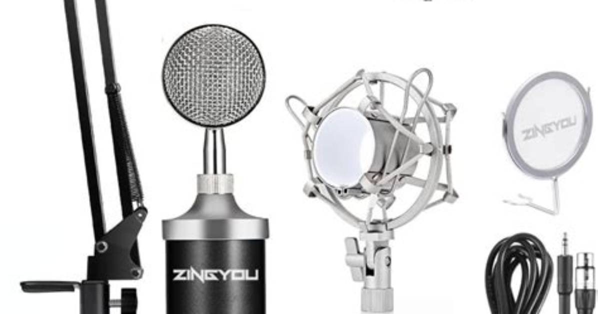 Are Zingyou Mics Good?