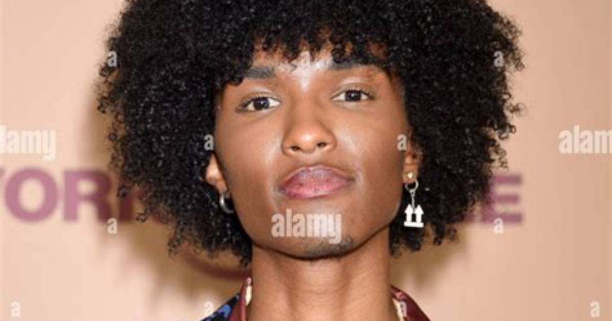 Ari Fitz