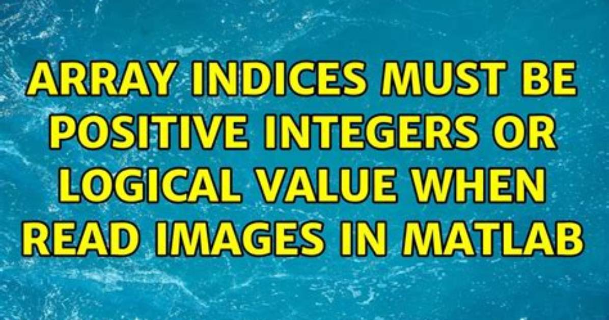 "Array Indices Must Be Positive Integers or Logical Values"