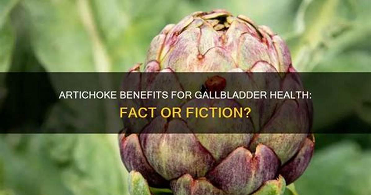 Artichoke Gallbladder