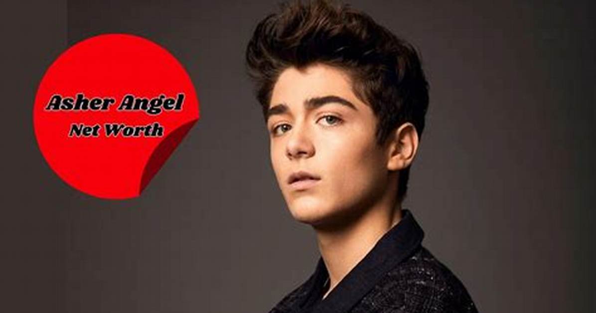 Asher Dann Net Worth