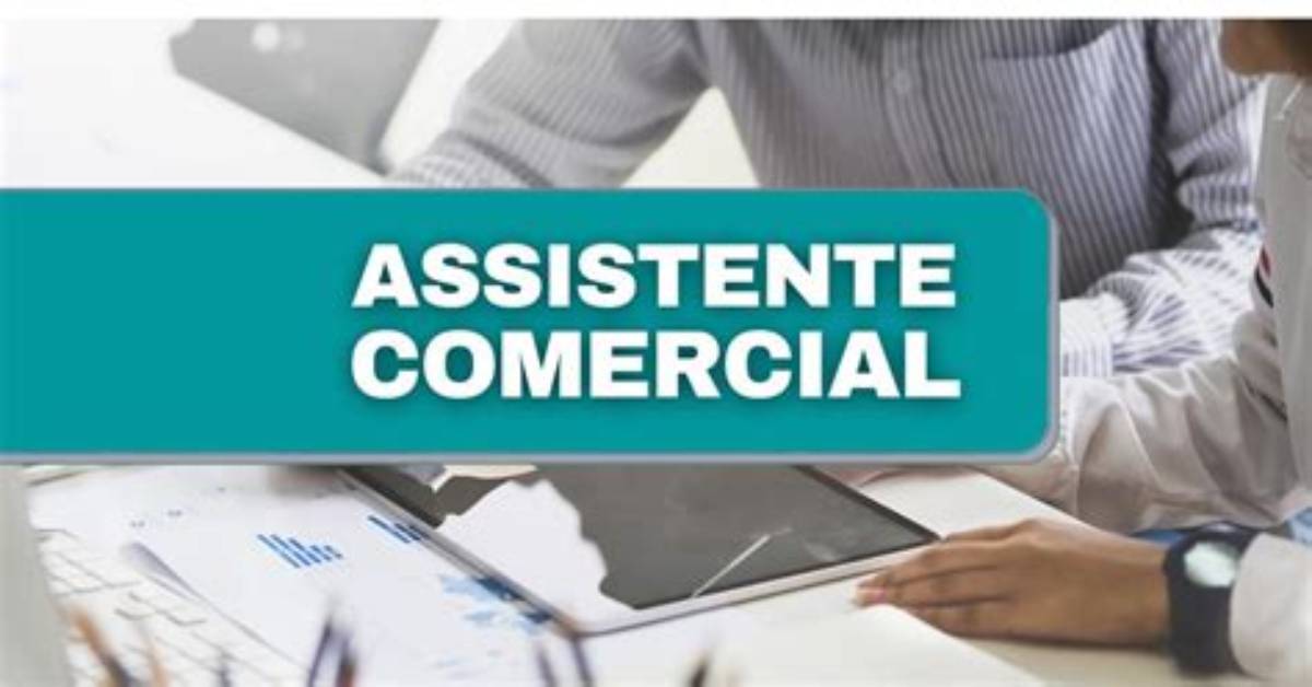 Assistente Comercial O Que Faz