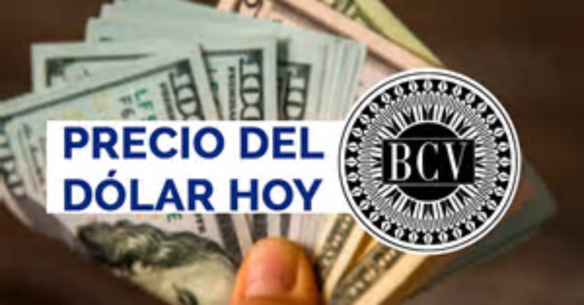 Asta Net Worth